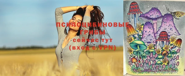 наркотики Белокуриха