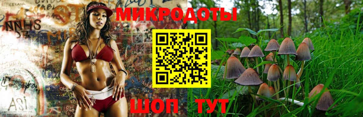 Галлюциногенные грибы мицелий Калининград