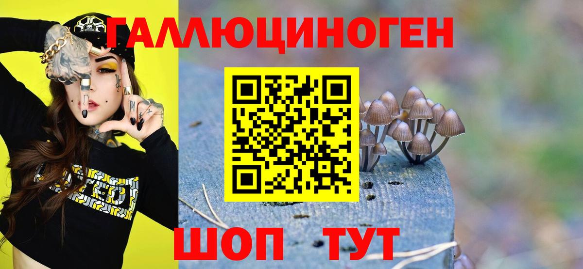 Галлюциногенные грибы MAGIC MUSHROOMS  Галлюциногенные грибы мухоморы  Вход с VPN  Калининград 